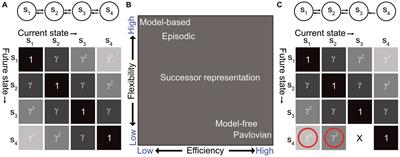 Accounting for multiscale processing in adaptive real-world decision-making via the hippocampus
